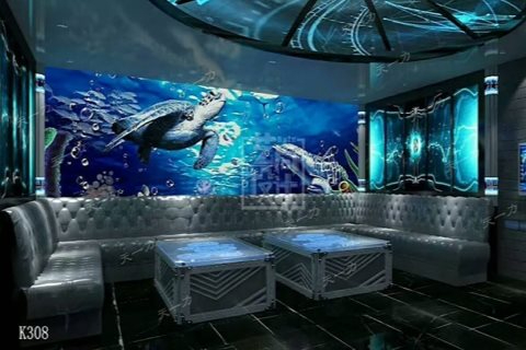 新余小时场ktv预订指南-分宜县ktv预定